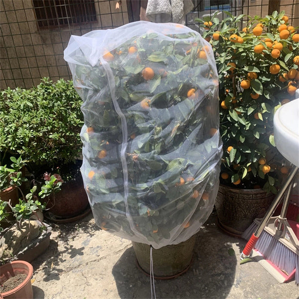 3PCS Fruit Fly Net Insect mesh Vegetable Garden Plant Crop Protection Cover Bags