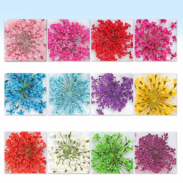 24pcs 12 Colours Dried Flowers Manicure Nail Art Decoration DIY Tips Nail Decals