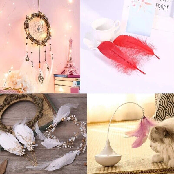 BULK 200pcs Goose feathers 6-12cm 11 Colour Choice Millinery DIY Wedding Craft