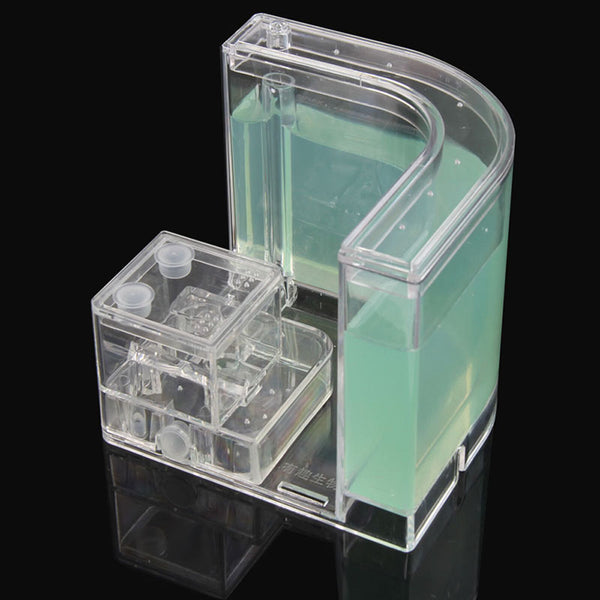 Green gel ant farm side view showing the two-level maze room