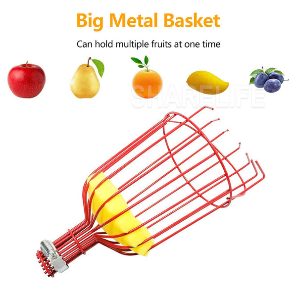 Fruit Picker Basket Extension Pole Tool for Picking Fresh Orange Peach Fruit AU