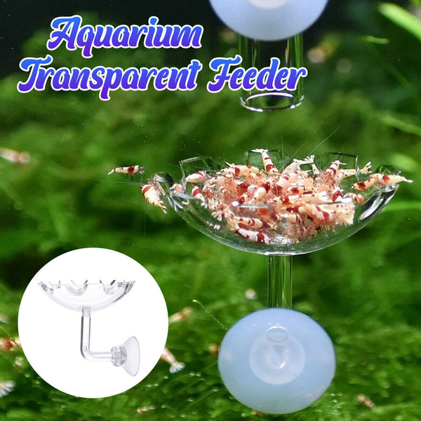 Aquarium Fish Tank Shrimp Food Feeder Clear Glass Feeding Dish Tank Accessory