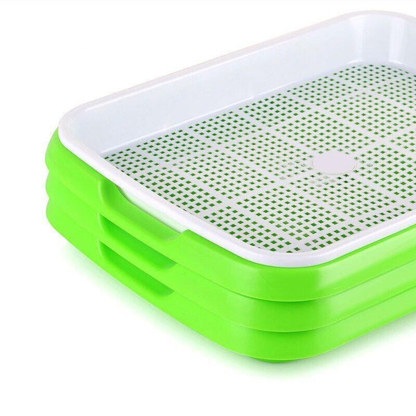 Microgreens tray, Seeding Cloning Hydroponic Germination Bean Sprout Planting AU