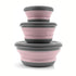 3PCS Collapsible Camping Bowl with Lid Foldable Soup Salad Ramen Bowl Set