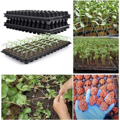 10PCS 72 Cell Seed Starter Trays Seedling Germination Nursery Propagation Trays
