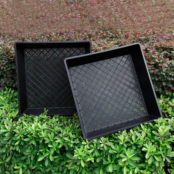 Seedling Tray Fine Hole Plant Propagation Seedling Hydroponic 42x42x5.5cm