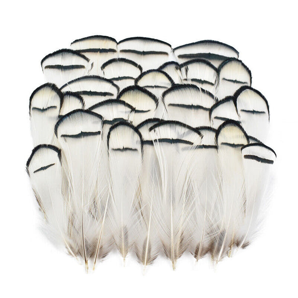 BULK 40pcs Hackle Chukar 5-8cm Black White Pheasant Feathers DIY Craft Flytying