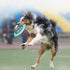 files/s-l1600_320d2d3a-8094-4de0-8c86-68f2aa4c3907.jpg