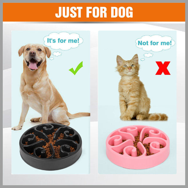 2PCS Cat Dog Slow Down Eating Feeder Dish Pet Large / Small Feeding Food Bowl Di