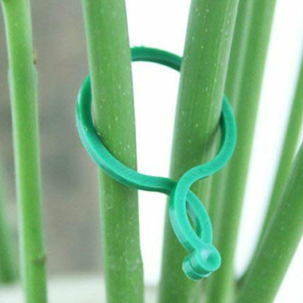 120X Garden Plant Clip Tomato Tie Stem Orchid Support Weatherproof Grow Training