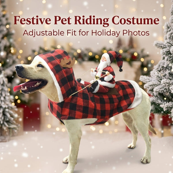Festive pet riding costume, red check Santa style on a dog for holiday photos