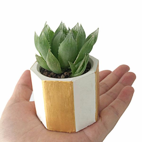 Mold Ceramic Garden Plant Clay Craft Mould planter Silicone Garden Flower Pot