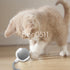 files/s-l1600_3e1b065d-d7cd-4866-bb38-50ac1bf36a9d.jpg