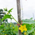 files/s-l1600_40c19c91-1523-4da9-a096-af22586cf78f.jpg
