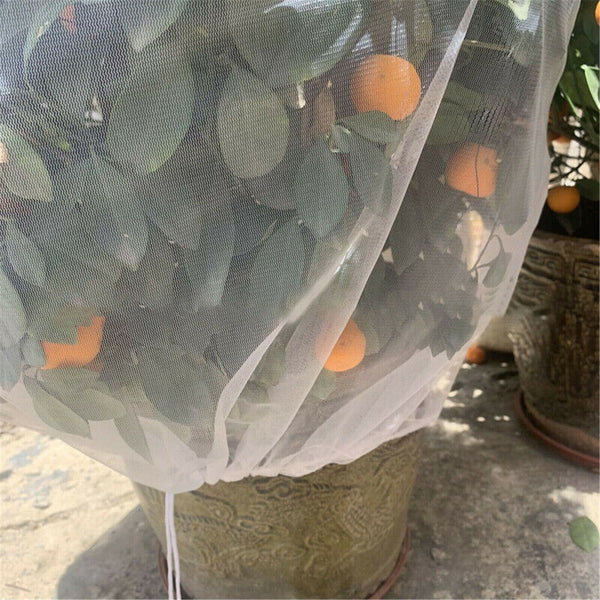 3PCS Fruit Fly Net Insect mesh Vegetable Garden Plant Crop Protection Cover Bags