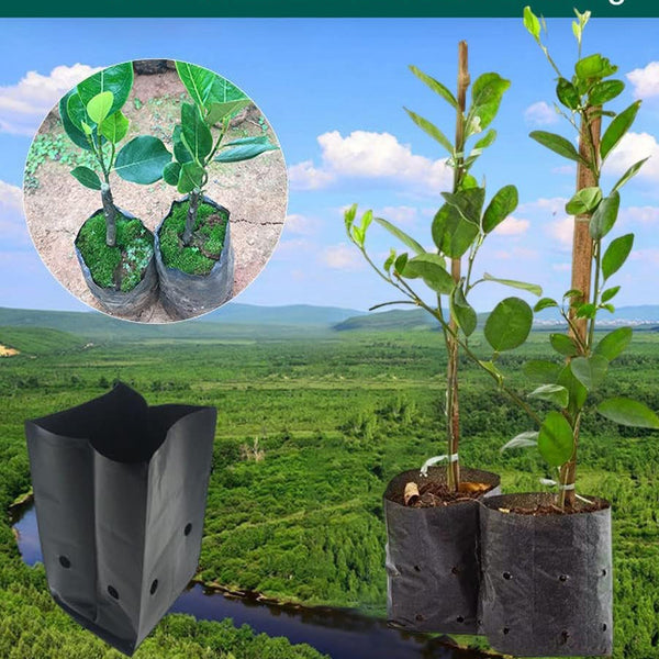 300PCS Plant Grow Bags PE Seedling Nursery Bags with Breathable Drainage Holes