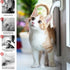 files/s-l1600_42df3dd5-fc97-4571-869c-abcb64a5a22e.jpg
