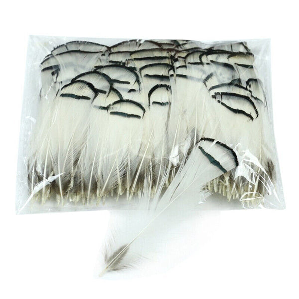 BULK 40pcs Hackle Chukar 5-8cm Black White Pheasant Feathers DIY Craft Flytying