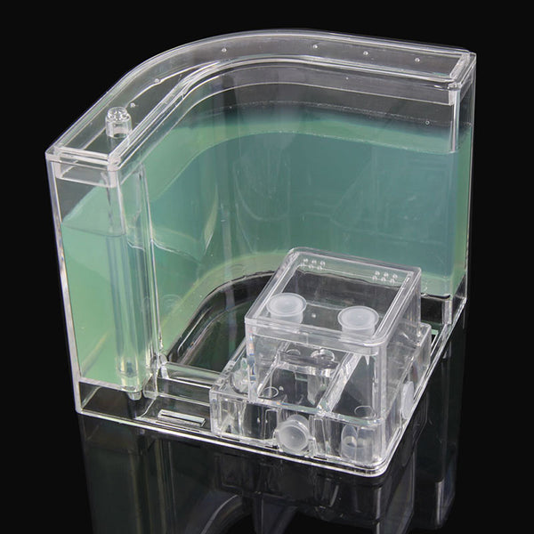 Green gel ant habitat with clear maze room, front view