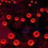 files/s-l1600_51045cef-ba2b-4b11-87b6-b20e86fdb207.jpg