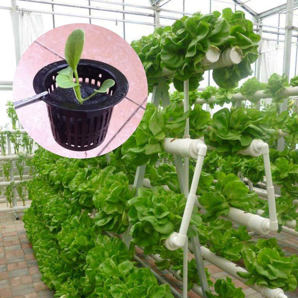 20pcs Mesh Net Pots for Hydroponics | Aeroponic Aquaponic Plant Grow Baskets 100x85mm