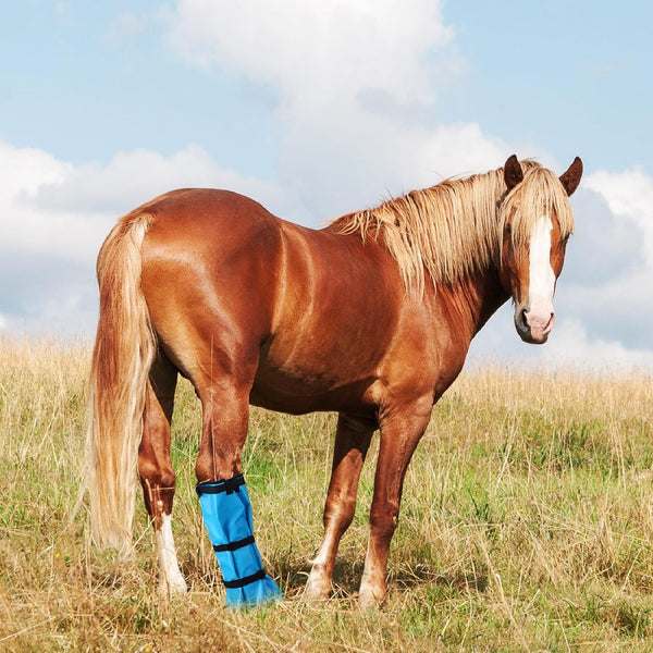 Horse Hoof Soaking Boot Waterproof Equine Leg Cover Adjustable Stable Gear