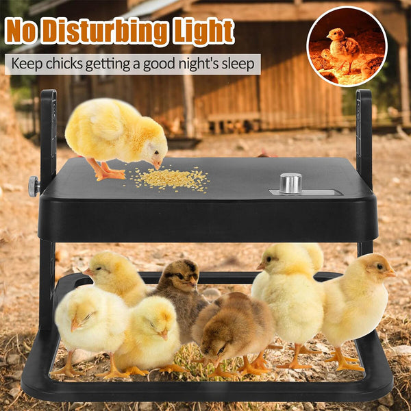 Chick Brooder Heating Plate – Adjustable Poultry Coop Warmer