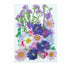 5 Sets Pressed Dried Flowers Scrapbooking Resin Art DIY Craft Decoration