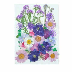 5 Sets Pressed Dried Flowers Scrapbooking Resin Art DIY Craft Decoration