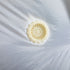 files/s-l1600_5a0b7597-9fde-49b5-a57c-85f48b3831a9.jpg