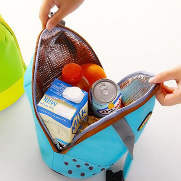 Lunch Bottle Box Tote Storage Bag Picnic Case  Portable Insulated Thermal Cooler