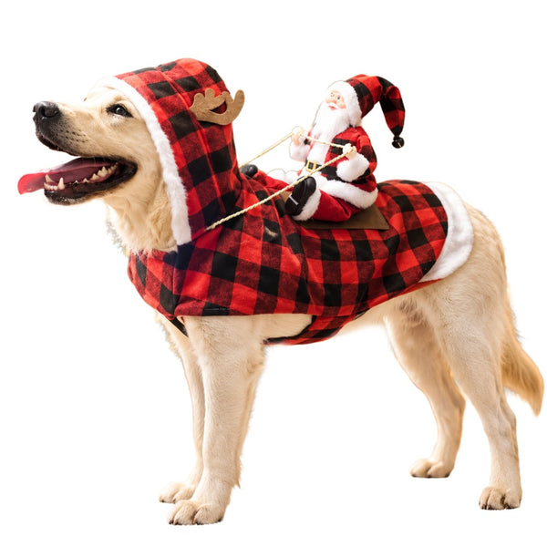 Red and black check Santa riding costume on a dog, front view