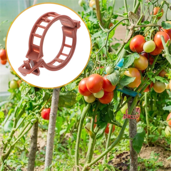 100pcs Tomato Plant Support Clips 3.2cm | Garden Trellis Clips for Vine Plants