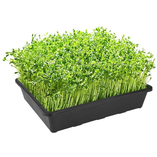 Seedling Tray Fine Hole Plant Propagation Seedling Hydroponic 42x42x5.5cm
