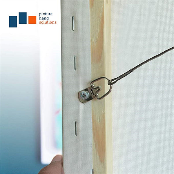50Pcs Medium D-Ring Painting Picture Frame Hanger Hanging Hooks+Screw Silver AUS