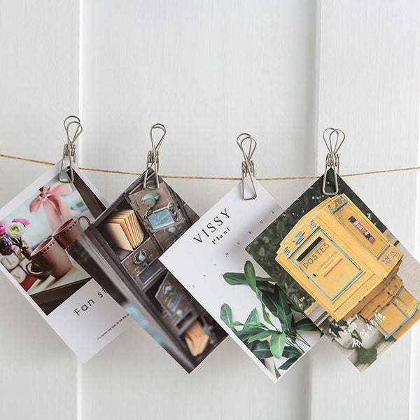 Stainless Steel Clothes Pegs Rustproof Laundry Hanging Clips