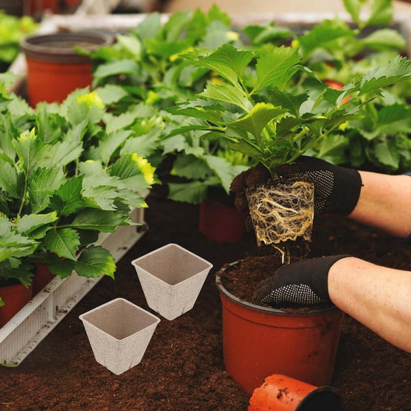 100PCS Seed Starter Peat Gardening Seedling Cup + 100PCS Plant Seed Labels
