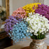 files/s-l1600_66d37312-cf3c-43ed-8c09-ed7ccbff8f76.jpg