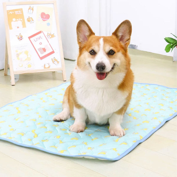 Corgi sitting on a blue dog cooling mat