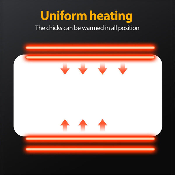 Chick Brooder Heating Plate – Adjustable Poultry Coop Warmer
