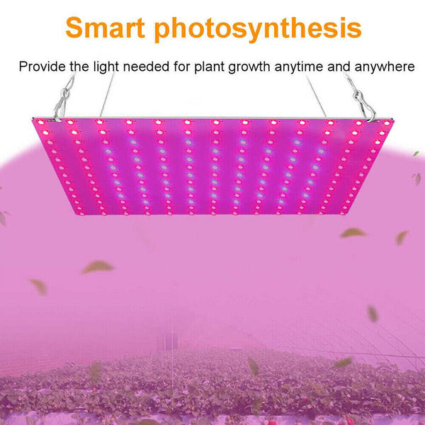 Plant AU plug Indoor UV Light Spectrum Plant Veg Lamp LED Grow Light Hydroponic