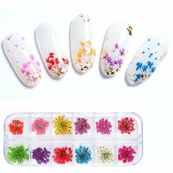 24pcs 12 Colours Dried Flowers Manicure Nail Art Decoration DIY Tips Nail Decals