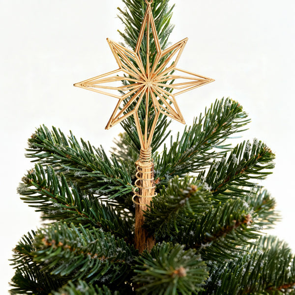 Gold 8-point star topper on top of a Christmas tree