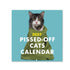 Cat calendar 2027 cover with a cranky cat wrapped in a green towel