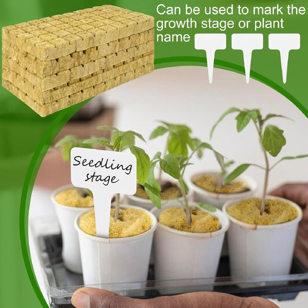 100PCS Rock Wool Planting Cubes with Plant Tags Hydroponic Grow Starter