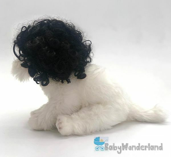 Pet Wig Small Dog Cat Cosplay Cross Dressing Hair Transforming Prop Halloween