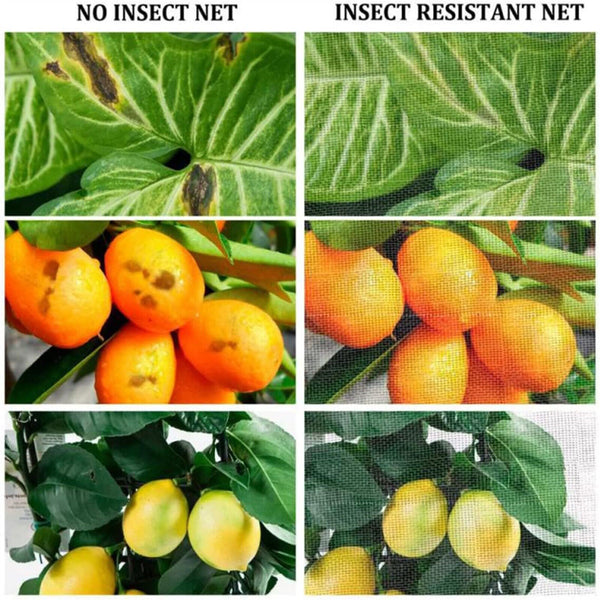 3PCS Fruit Fly Net Insect mesh Vegetable Garden Plant Crop Protection Cover Bags