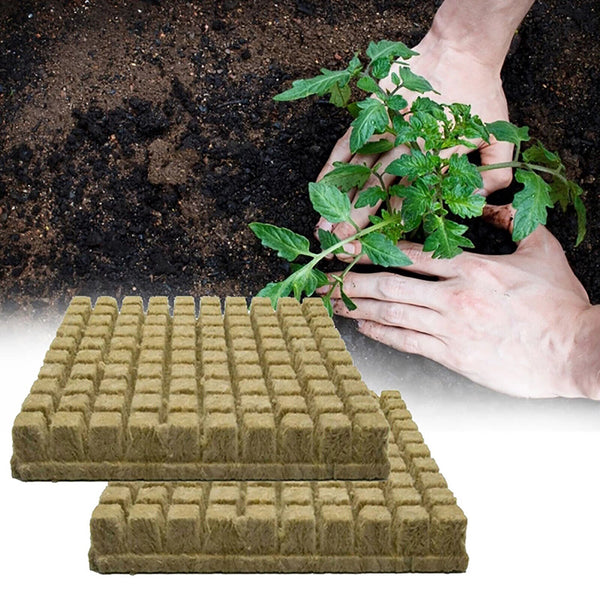 Grow Starter Rockwool Cubes Plug Hydroponic Planting Cloning Propagation
