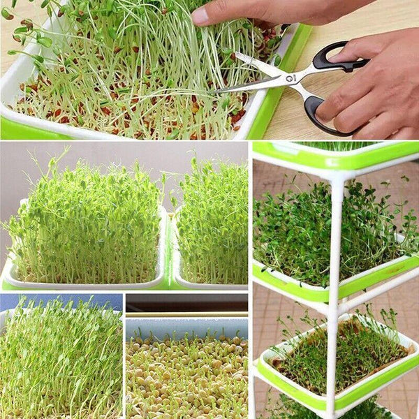 Microgreens tray, Seeding Cloning Hydroponic Germination Bean Sprout Planting AU