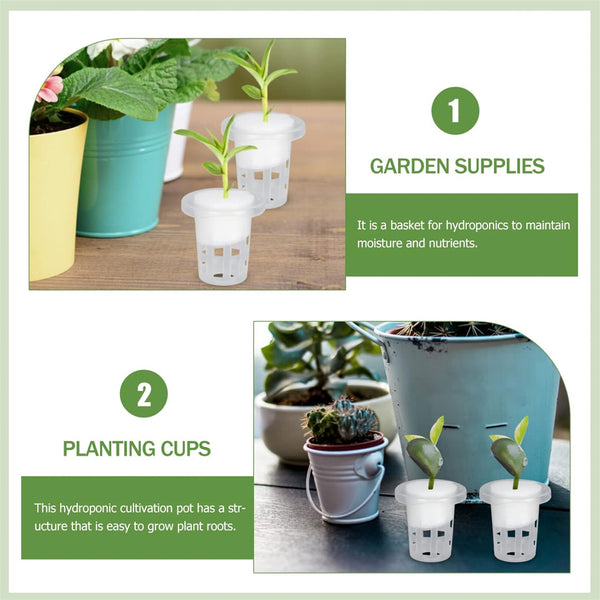 50PCS Hydroponic Net Cups with 48 Sponges Mesh Pot Baskets Aeroponic Grow System